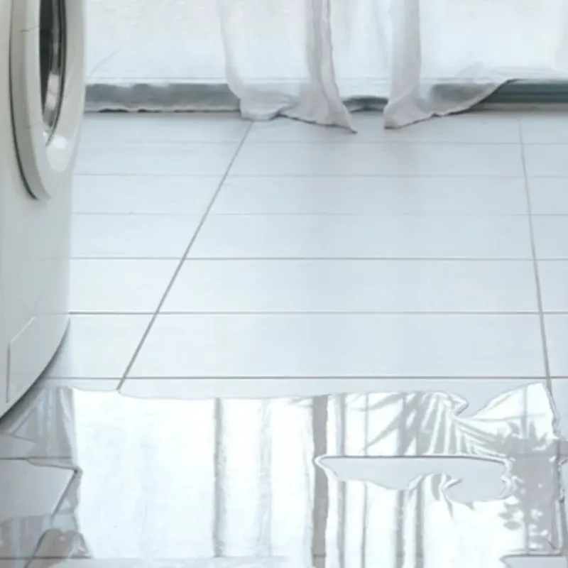 Appliance Leak Cleanup in Abingdon, IL
