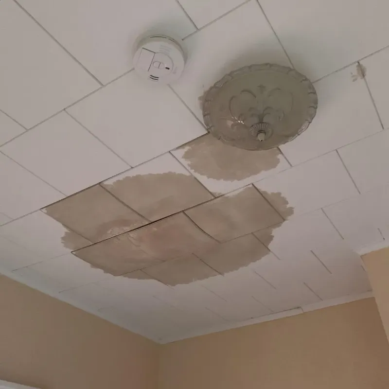 Ceiling Water Damage Repair in Abingdon, IL