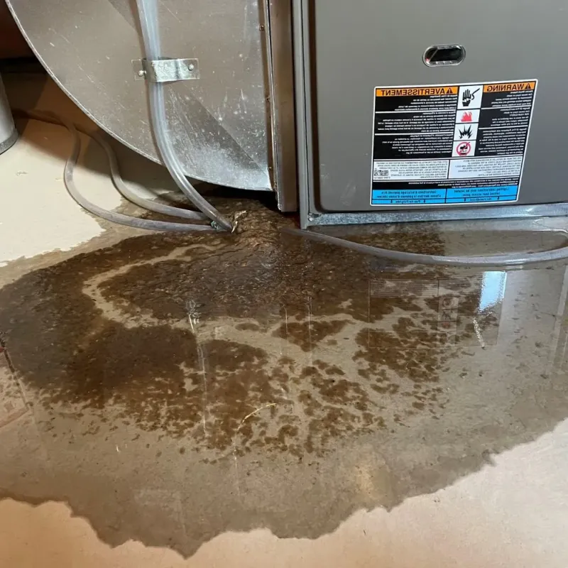 Pipe Burst and Leak Restoration in Abingdon, IL
