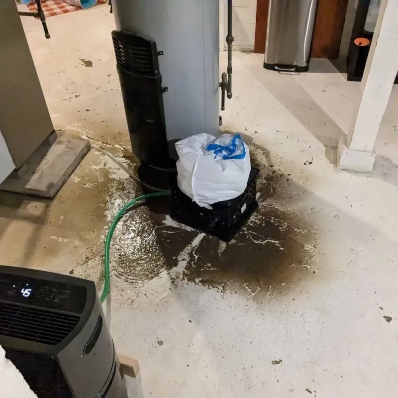Sewage Backup Cleanup Service in Abingdon, IL